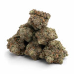 Rockstar strain