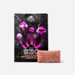 Room 920 Mushroom Jelly – Watermelon