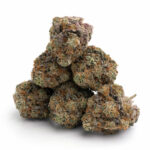 All Gas OG Strain
