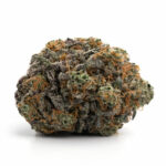 All Gas OG Strain