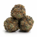 All Gas OG Strain