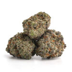 BANANA OG Strain