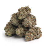 BANANA OG Strain