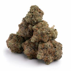 Black Tuna Strain