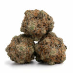 Black Tuna Strain