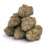 Blue Cheese Strain