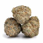 Blue Cheese Strain