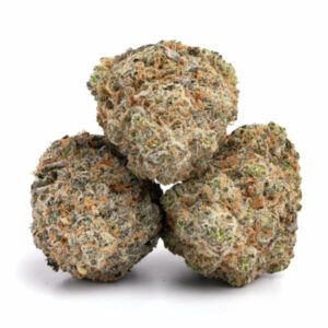 Blue Cheese Strain