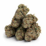 Blueberry Strain