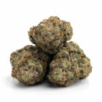 Blueberry Strain