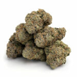 Cali Bubba Strain