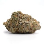 Cherry Cosmo Strain
