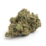 Dirty Thirty Strain