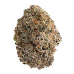 Double Stuffed Sorbet Strain