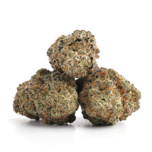 Double Stuffed Sorbet Strain