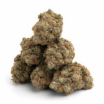 El Chapo Strain