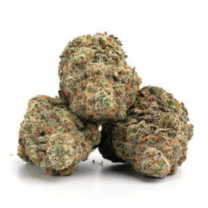 Gas Daddy Strain