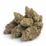 Gas Daddy Strain