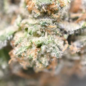 Ice Wine Popcorn Strain