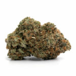 LA Coma Strain