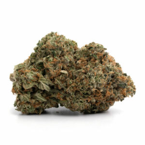 LA Coma Strain