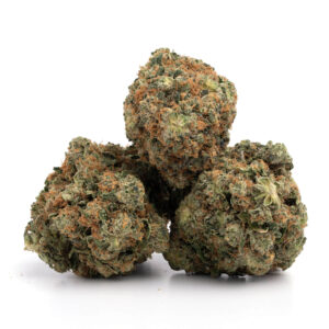 Larry Bird Kush Strain
