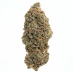 MAC Stomper Strain
