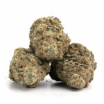 MAC Stomper Strain