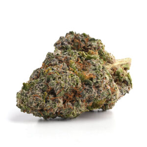 Mango Sherbet Strain