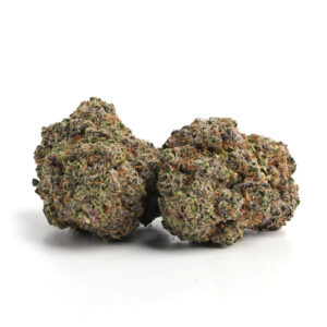 Mango Sherbet Strain