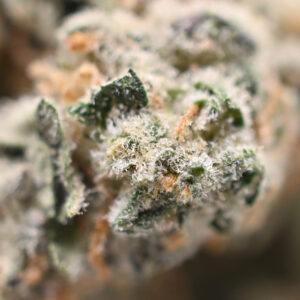Memory Loss Popcorn Strain
