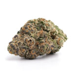 Mimosa weed Strain