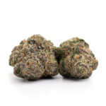 Mimosa weed Strain