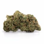 Notorious THC Strain