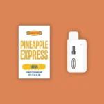 OneStop 3g Disposable Vape