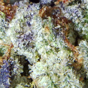 Pink Death Popcorn Strain
