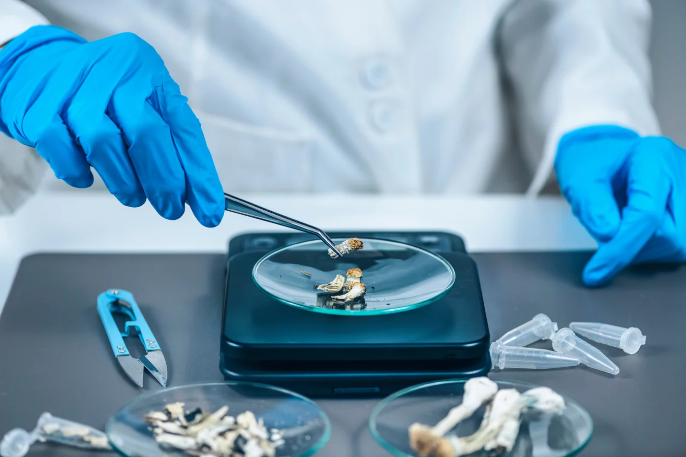 The Powerful Truth About Psilocybin and Mental Health