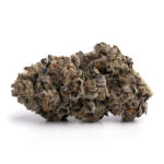 Purple Biscotti Strain