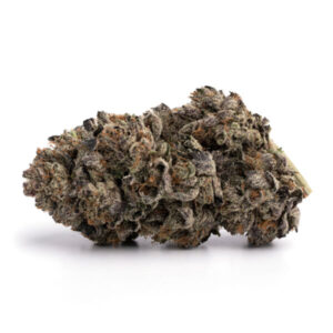 Purple Biscotti Strain