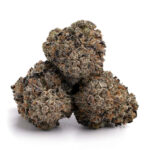 Purple Biscotti Strain