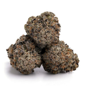 Purple Biscotti Strain