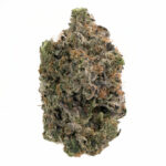 Rainbow Driver Strain