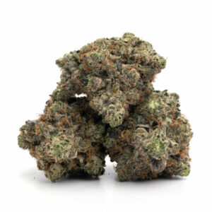 Rainbow Driver Strain