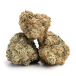 Sugarland Strain