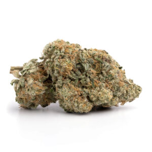 Sugarland Strain