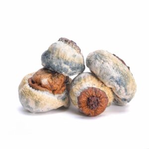 Bluey Vuitton Magic Mushrooms