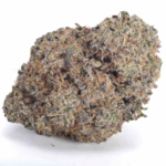 Single Cindy White Strain AA cannabis bud on white background