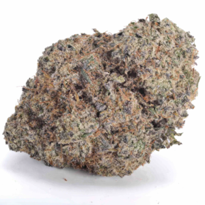 Single Cindy White Strain AA cannabis bud on white background