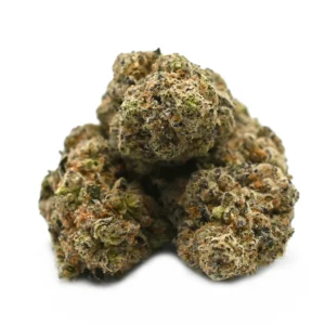 Cap Junky Strain