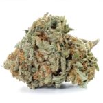 Gorilla Glue #4 strain